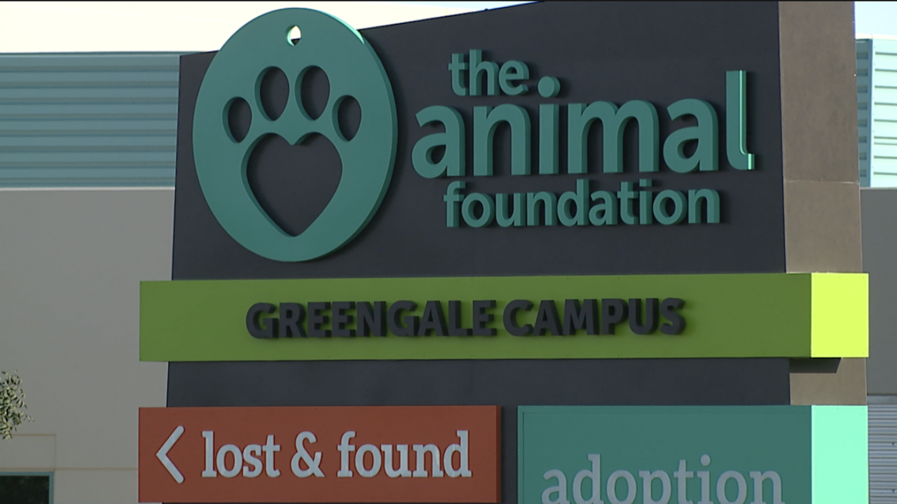 Animal Foundation reducing adoption fees in July